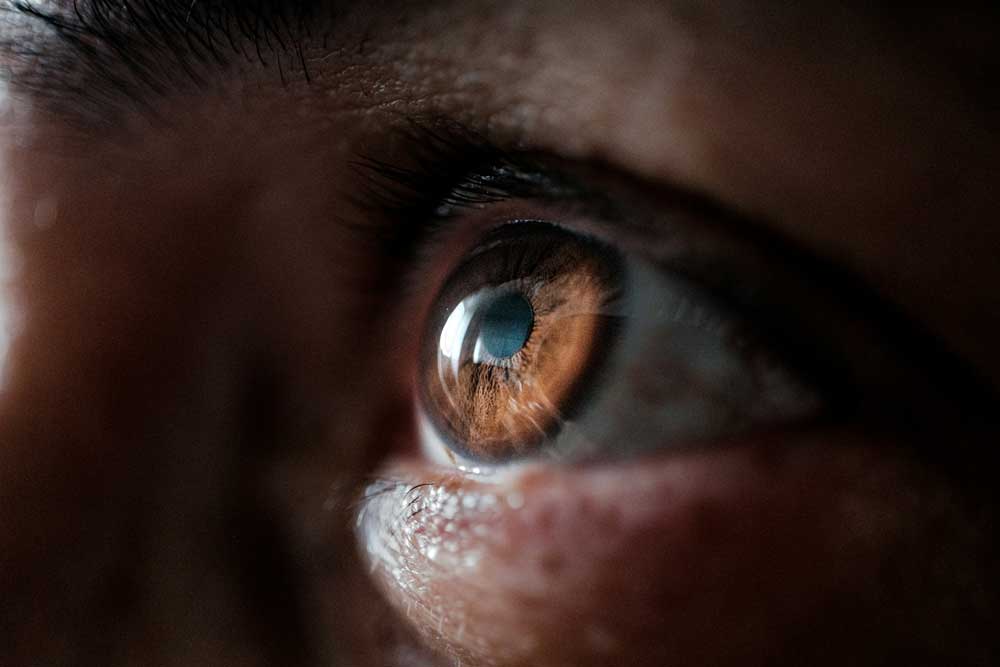 Primer plano de un ojo con iris castaño